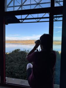 observatorio aves pitillas